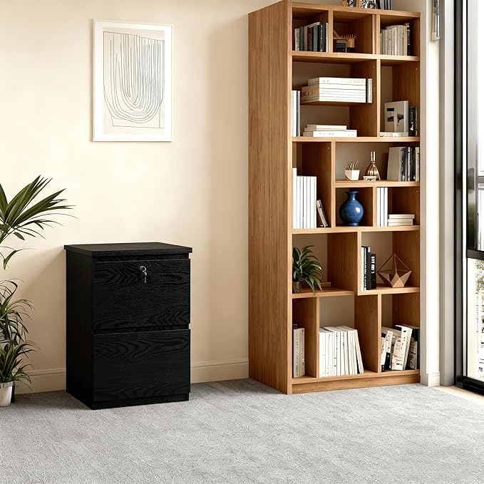 kowo 2 Drawer Wood File Cabinet with Lock, Printer Stand, Vertical Filing Cabinet fits A4, Letter, and Legal Size Documents for Home Office, Black