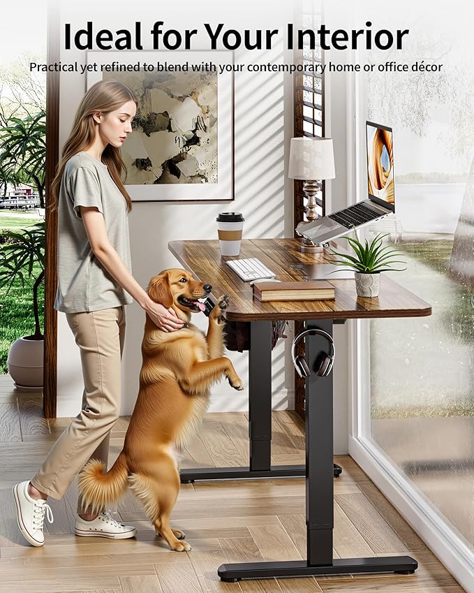 BIZUM Electric Standing Desk 60 x 24 Inch Computer Desk-Gaming Desk Dark Walnut Home Office Desks Height Adjustable Memory Stand Up Computer Workstation