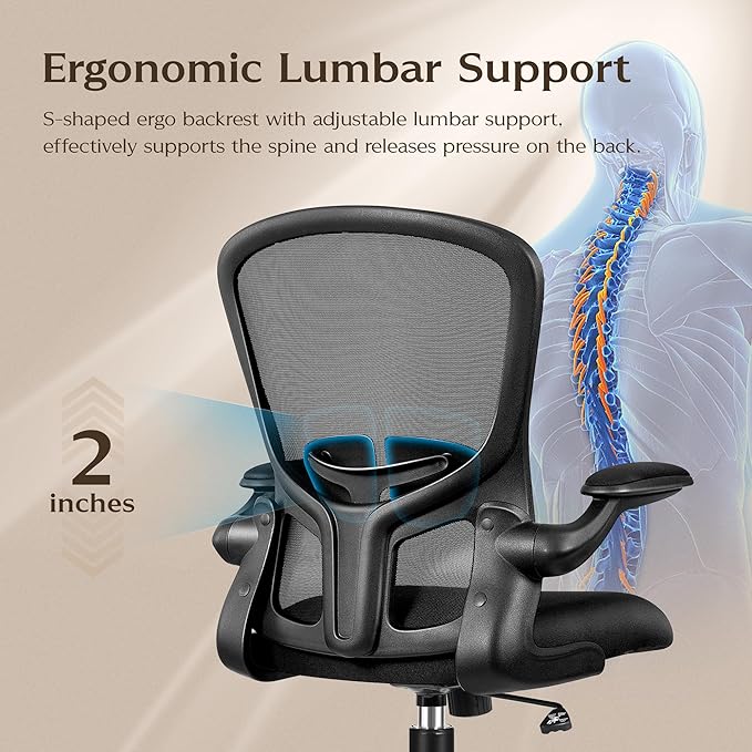 FelixKing Office Desk Chairs, Ergonomic PC Desk Chair with Wheels, Adjustable Lumbar Support and Height, Swivel Computer Chair with Flip-up Armrests, Ergo Mesh Backrest for Working (Black, Pack of 10)