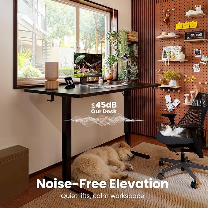 ErGear Electric Standing Desk – Black (44")
