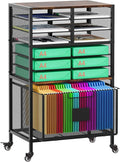 EasyPAG Rolling Cart with Storage Drawer, Under Desk Filling Cabinet with Mail Sorter, Pull Out Hanging File Rack for Letter Size Folders, Mobile Utility Craft Cart for Home Office, Black